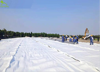 250g Geotextile Project Impermeable Waterproof For Municipal Infrastructure