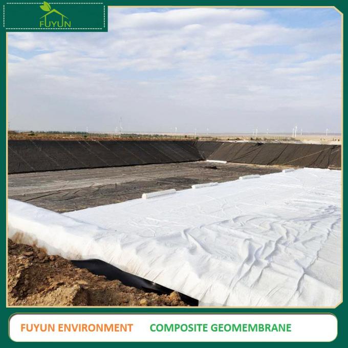White 1000g/M2 Composite Geomembrane Isolation Polyethylene Pond Liners