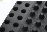 Anti Corrosion Dimple Board For Waterproofing , PVC Drain Board Basement