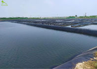 1.0mm HDPE Geomembrane Oxygenation Geotextile Project Temperature Control