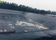 Dairy Cows Farm Effluent Geomembrane Fabric Pond Liner 1.5mm HDPE Anti Seepage