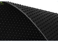 Anti Skid Non Slip Geomembrane Fabric 1.5mm With Column Points