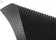 Anti Skid Non Slip Geomembrane Fabric 1.5mm With Column Points