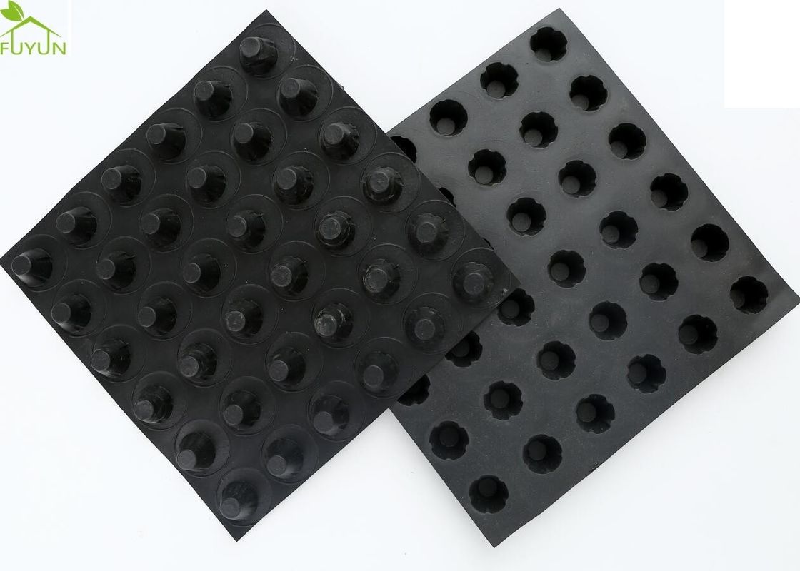 Composite HDPE Dimple Board For Wall Drainage Aging Resistance